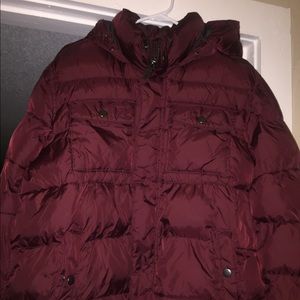 Women Tommy Hilfiger Coat
